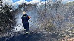 Feuer in der Goldenen Aue (Foto: Die am Einsatz beteiligten Feuerwehren) Feuer in der Goldenen Aue (Foto: Die am Einsatz beteiligten Feuerwehren)