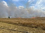 Feuer in der Goldenen Aue (Foto: Die am Einsatz beteiligten Feuerwehren) Feuer in der Goldenen Aue (Foto: Die am Einsatz beteiligten Feuerwehren)