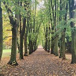 Herbst am Kiesschacht (Foto: Peter Blei)