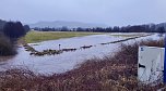 Hochwasser in Nordhausen (Foto: J.Piper) Hochwasser in Nordhausen (Foto: J.Piper)