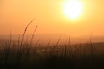 Sonnenuntergang - fotografiert vom Hainer Berg (Foto: Christoph Keil)