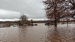 Flut in Windehausen - Dezember 2023 (Foto: S. Albert) Flut in Windehausen - Dezember 2023 (Foto: S. Albert)