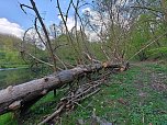 Sturmschäden,viel Wasser und sehr gute Fernsicht am ehemaligen Wald bei Urbach (Foto: Peter Blei) Sturmschäden,viel Wasser und sehr gute Fernsicht am ehemaligen Wald bei Urbach (Foto: Peter Blei)