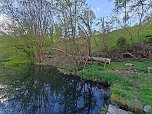 Sturmschäden,viel Wasser und sehr gute Fernsicht am ehemaligen Wald bei Urbach (Foto: Peter Blei) Sturmschäden,viel Wasser und sehr gute Fernsicht am ehemaligen Wald bei Urbach (Foto: Peter Blei)