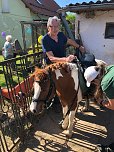 Besuch auf dem Ponyhof (Foto: Manfred Albrecht)