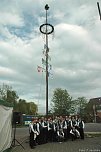 Maibaum gesetzt (Foto: F. Jeschke)