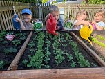 Am neuen Hochbeet k&ouml;nnen auch kleine G&auml;rtner gut arbeiten (Foto: Kindergarten Tierh&auml;uschen)