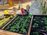 Am neuen Hochbeet k&ouml;nnen auch kleine G&auml;rtner gut arbeiten (Foto: Kindergarten Tierh&auml;uschen)