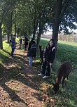 Studierende der Hochschule Nordhausen erleben die beruhigende Wirkung einer Alpaka-Wanderung auf der Alpaka-Farm Munkelt in Hohenm&ouml;lsen (Foto: Sandra Meusel)