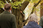 Artistik zwischen Baum und Borke - im Park Hohenrode lud man zu einem k&uuml;nsterlischen Waldspaziergang (Foto: agl)