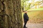 Artistik zwischen Baum und Borke - im Park Hohenrode lud man zu einem k&uuml;nsterlischen Waldspaziergang (Foto: agl)