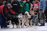 Hundeschlittenrennen im Harz (Foto: Peter Blei) Hundeschlittenrennen im Harz (Foto: Peter Blei)
