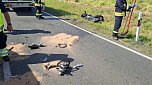 Unfall am Nachmittag (Foto: Feuerwehr Großwechsungen/Silvio Dietzel) Unfall am Nachmittag (Foto: Feuerwehr Großwechsungen/Silvio Dietzel)