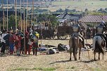 Nachstellung der Bauernschlacht bei Bad Frankenhausen (Foto: agl)