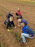 Kartoffelernte der Grundschüler in Werther (Foto: GS Werther) Kartoffelernte der Grundschüler in Werther (Foto: GS Werther)