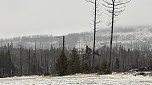 Erste Schneefall im Oberharz (Foto: vgf)