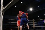 Boxgala in der Wiedigsburghalle (Foto: agl)