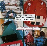 Gaja - ist sie noch zu retten? (Foto: Tanita Thelemann) Gaja - ist sie noch zu retten? (Foto: Tanita Thelemann)