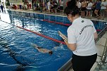 22. Stadtmeisterschaft des Schwimmvereins SVN '90 im Badehaus (Foto: agl) 22. Stadtmeisterschaft des Schwimmvereins SVN '90 im Badehaus (Foto: agl)