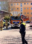 Feuerwehr und Polizei bekamen schließlich doch noch Arbeit (Foto: privat) Feuerwehr und Polizei bekamen schließlich doch noch Arbeit (Foto: privat)