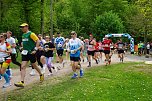 Impressionen vom 12. Harztorlauf im Landkreis Nordhausen. (Foto: ssc) Impressionen vom 12. Harztorlauf im Landkreis Nordhausen. (Foto: ssc)