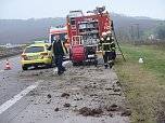 Unfall auf der A 38 (Foto: privat)
