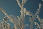 Sonnig-frostiger Morgen (Foto: F. Jeschke)
