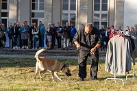Ehrenamtsgala des KSB im Hue de Grais Bild: Ehrenamtsgala des KSB im Hue de Grais