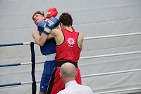 Wettkämpfe im Becken und im Boxring Bild: Wettkämpfe im Becken und im Boxring
