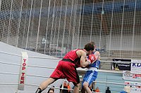 Wettkämpfe im Becken und im Boxring Bild: Wettkämpfe im Becken und im Boxring