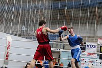 Wettkämpfe im Becken und im Boxring Bild: Wettkämpfe im Becken und im Boxring