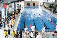 Wettkämpfe im Becken und im Boxring Bild: Wettkämpfe im Becken und im Boxring
