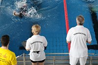 Wettkämpfe im Becken und im Boxring Bild: Wettkämpfe im Becken und im Boxring