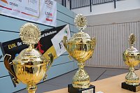 Wettkämpfe im Becken und im Boxring Bild: Wettkämpfe im Becken und im Boxring