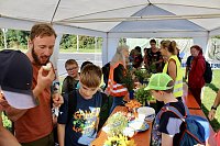 KNAUF-Kinderfest in Rottleberode Bild: KNAUF-Kinderfest in Rottleberode