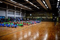 Zweifelderballturnier der Grundschulen Bild: Zweifelderballturnier der Grundschulen