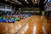 Zweifelderballturnier der Grundschulen Bild: Zweifelderballturnier der Grundschulen