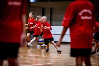 Zweifelderballturnier der Grundschulen Bild: Zweifelderballturnier der Grundschulen