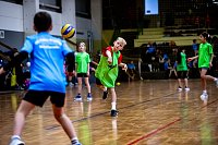 Zweifelderballturnier der Grundschulen Bild: Zweifelderballturnier der Grundschulen
