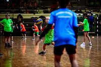 Zweifelderballturnier der Grundschulen Bild: Zweifelderballturnier der Grundschulen