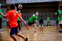 Zweifelderballturnier der Grundschulen Bild: Zweifelderballturnier der Grundschulen