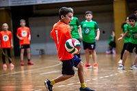 Zweifelderballturnier der Grundschulen Bild: Zweifelderballturnier der Grundschulen