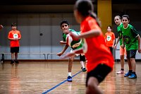 Zweifelderballturnier der Grundschulen Bild: Zweifelderballturnier der Grundschulen