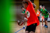 Zweifelderballturnier der Grundschulen Bild: Zweifelderballturnier der Grundschulen