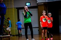 Zweifelderballturnier der Grundschulen Bild: Zweifelderballturnier der Grundschulen