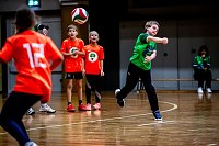 Zweifelderballturnier der Grundschulen Bild: Zweifelderballturnier der Grundschulen