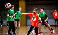 Zweifelderballturnier der Grundschulen Bild: Zweifelderballturnier der Grundschulen