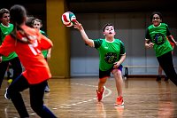 Zweifelderballturnier der Grundschulen Bild: Zweifelderballturnier der Grundschulen