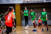 Zweifelderballturnier der Grundschulen Bild: Zweifelderballturnier der Grundschulen
