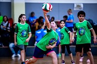Zweifelderballturnier der Grundschulen Bild: Zweifelderballturnier der Grundschulen